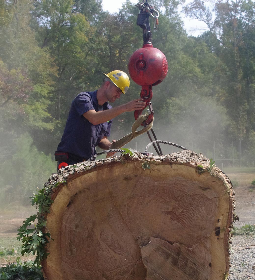 Big-log-after-tree-removal-in-raleigh