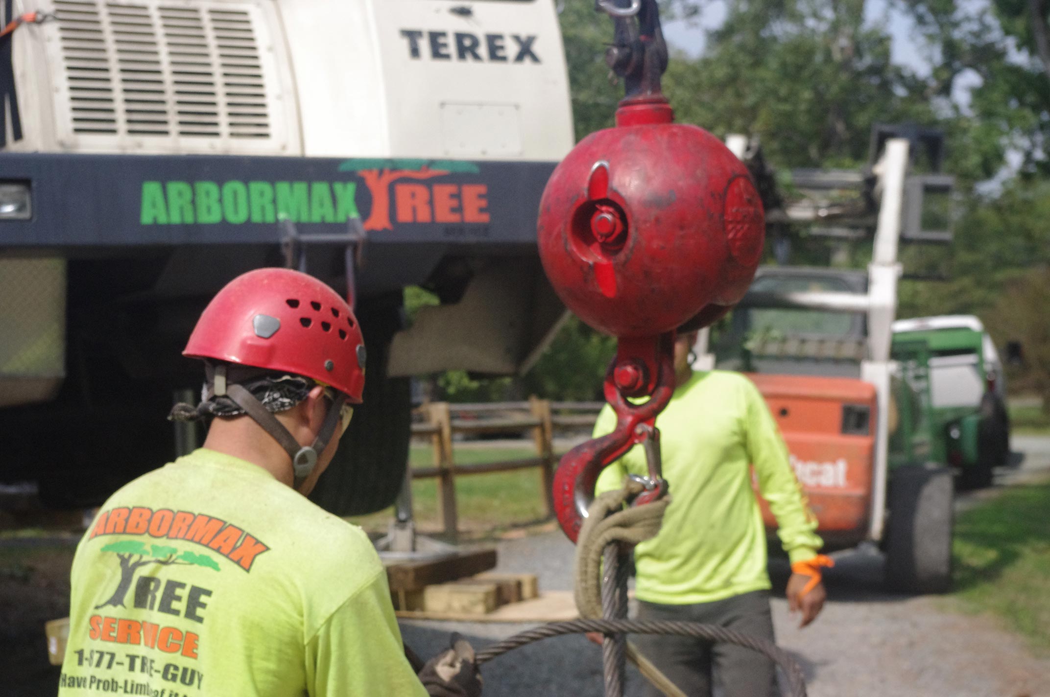 Crane-ball-tree-service---Copy