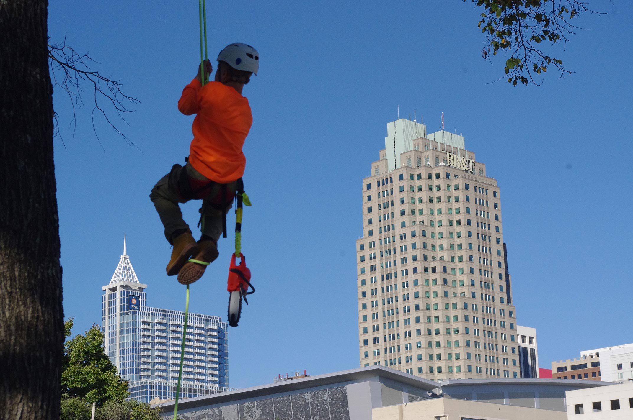 Raleigh-tree-service-21