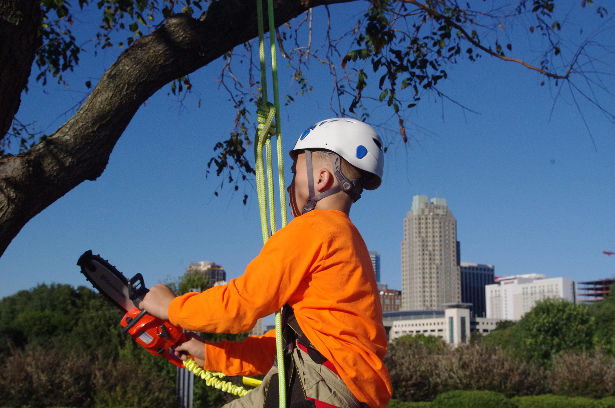 Raleigh-tree-service-24