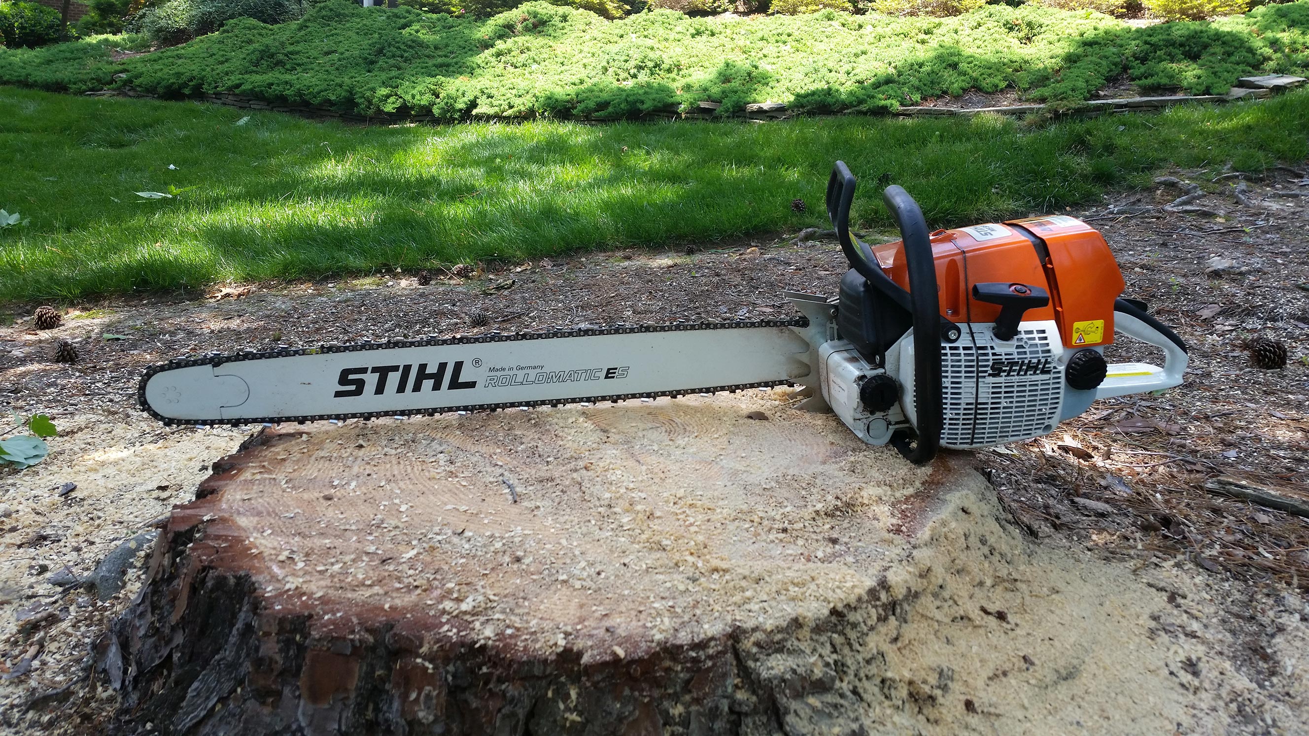 chainsaw-on-stump