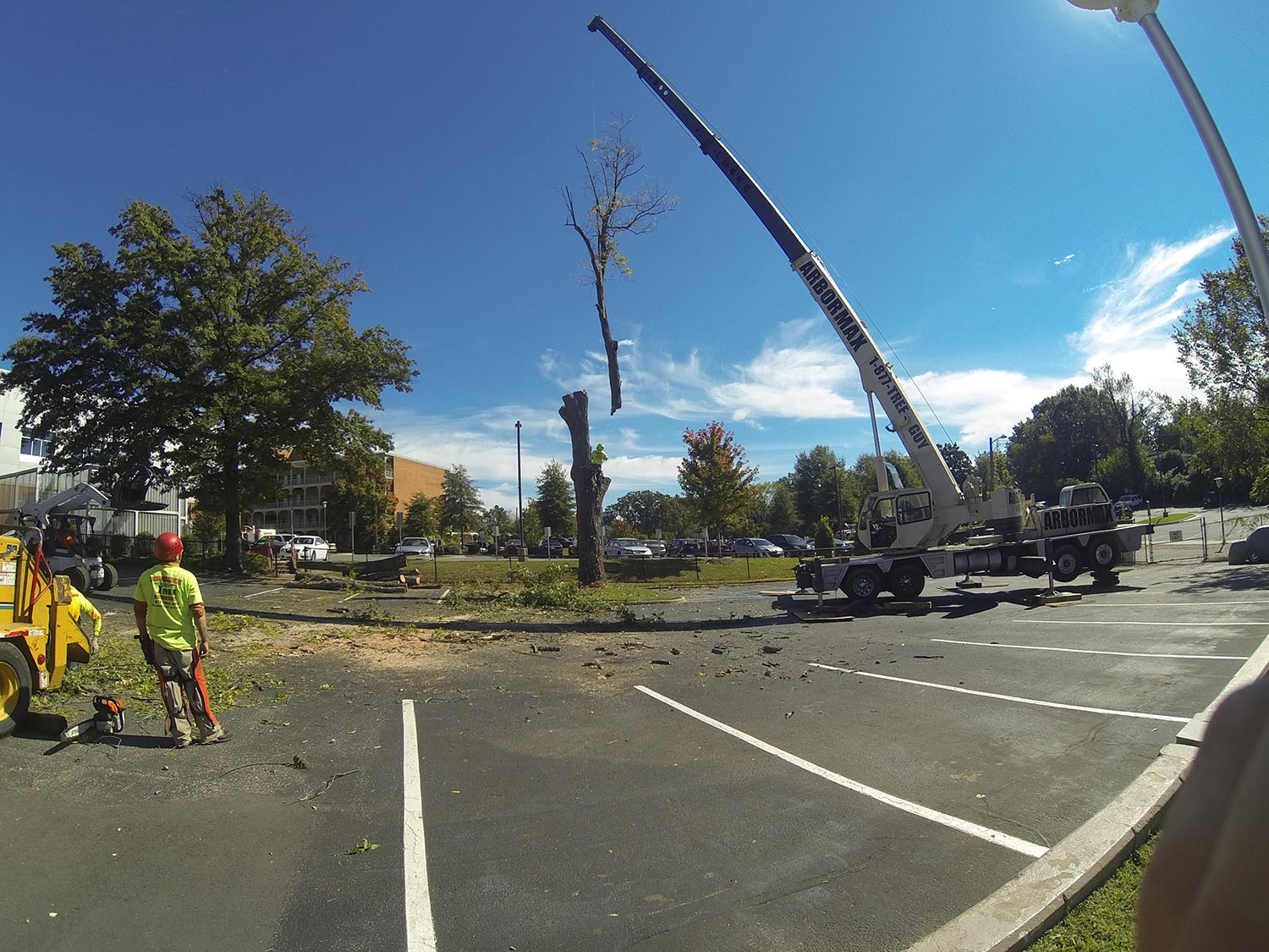 #crane-tree-removal-13