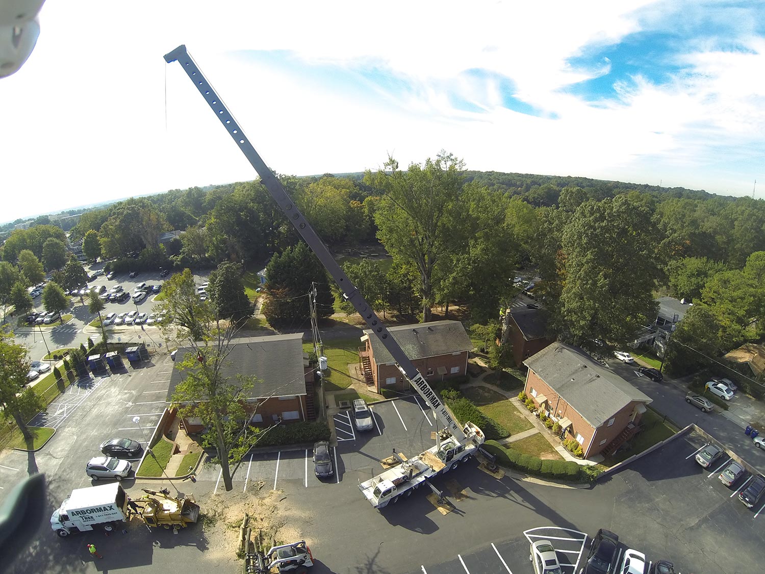#crane-tree-removal2