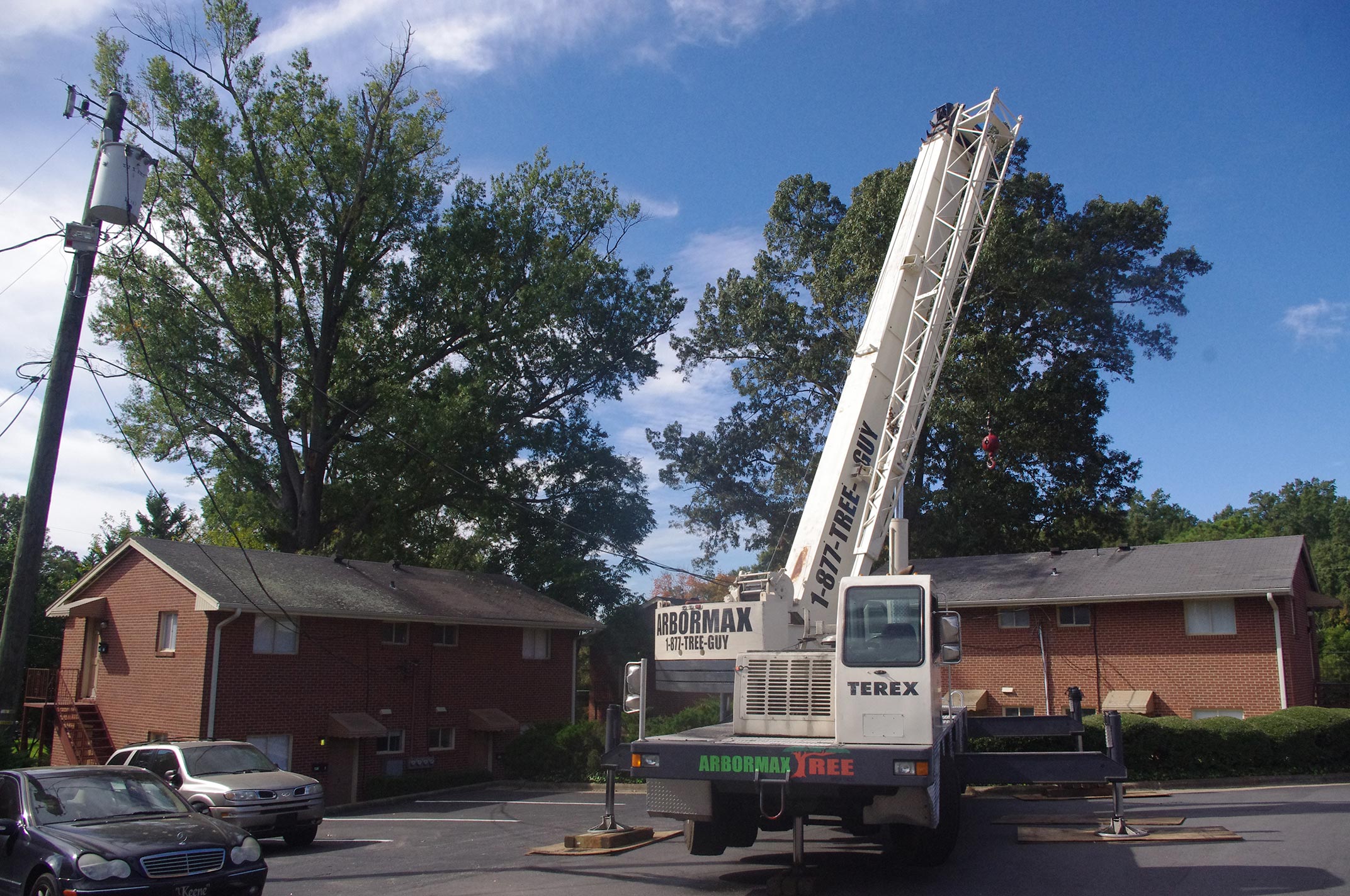 #crane-tree-removal3