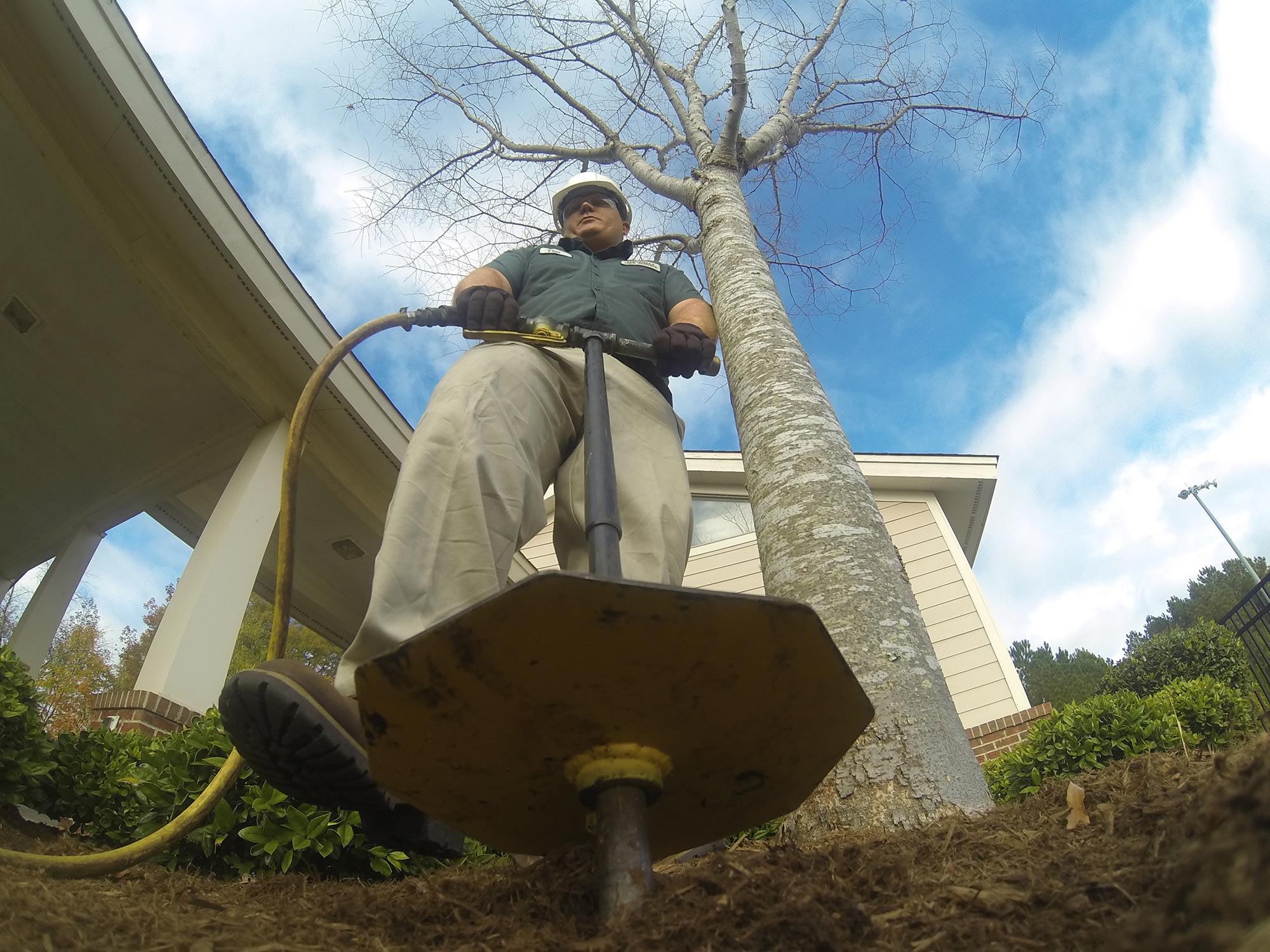 #deep-root-2