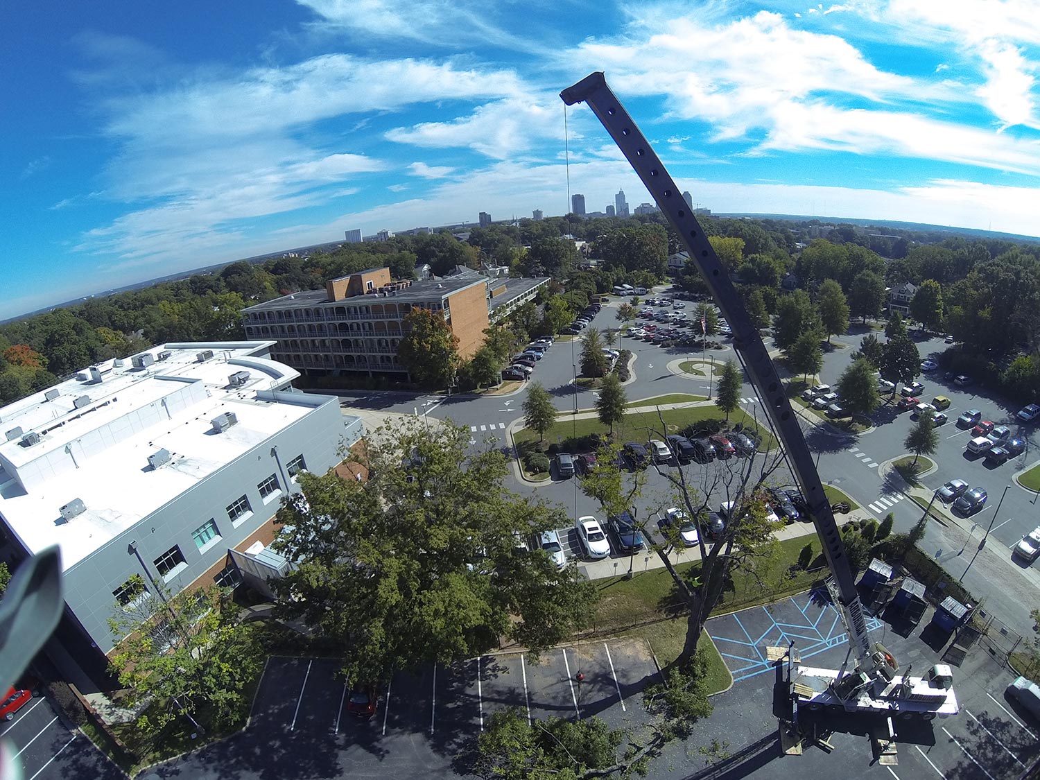 #raleigh-in-background