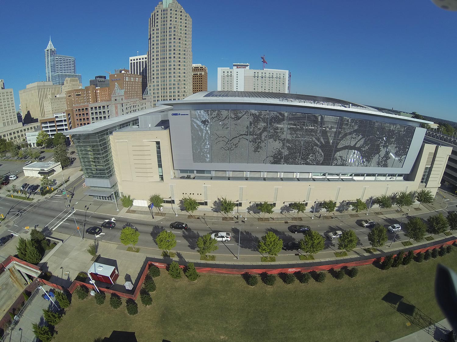 raleigh-tree-service-27
