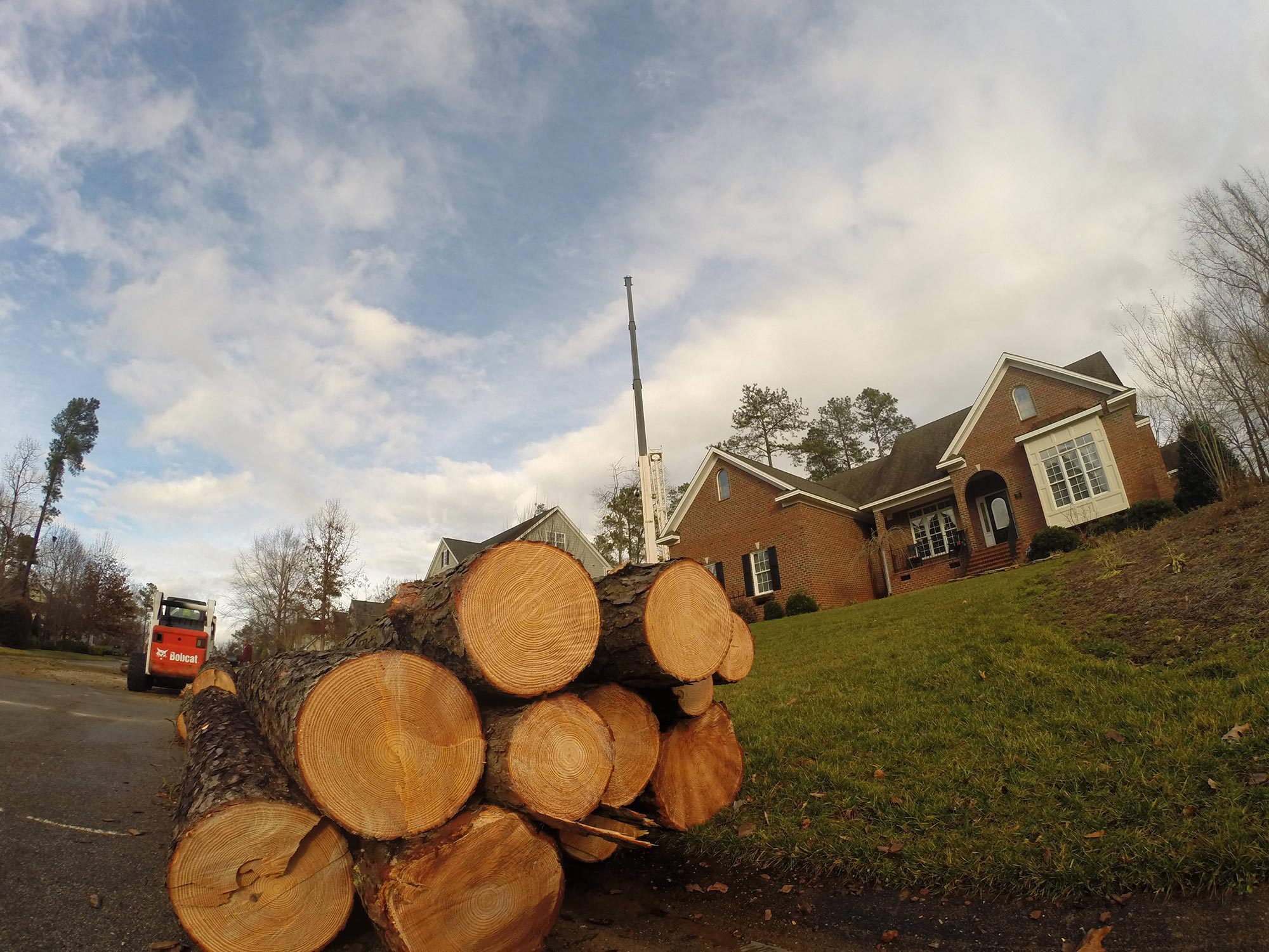 raleigh-tree-service-62---Copy