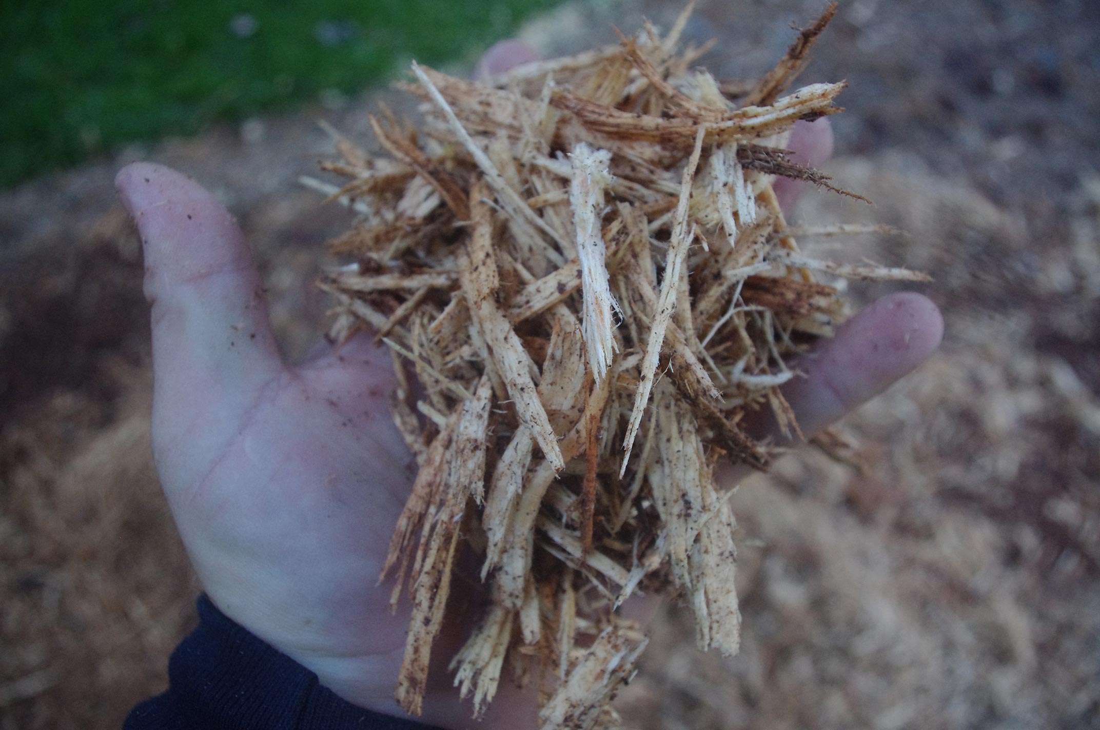 #stump-grinder7