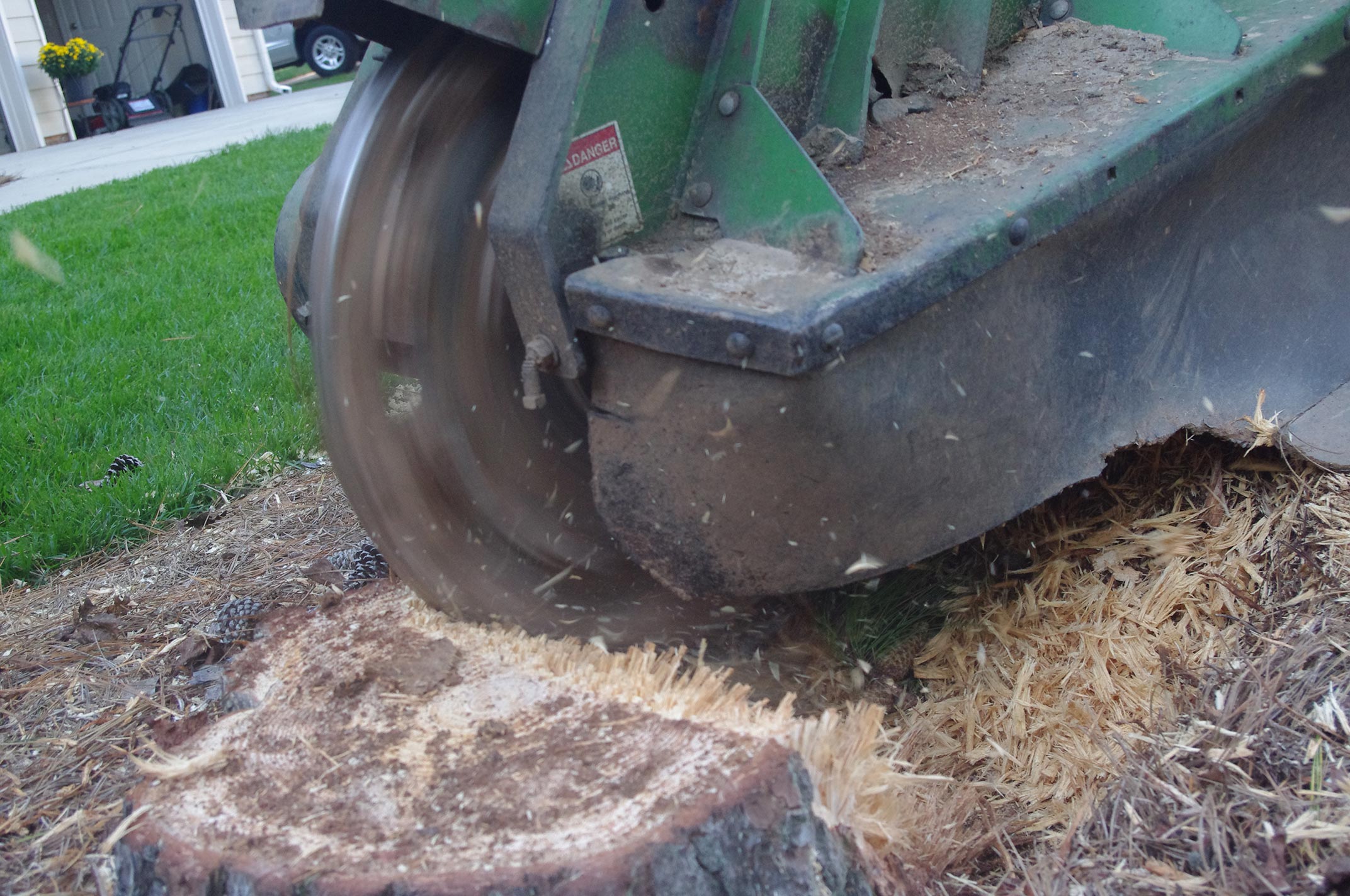 stump-grinding-3