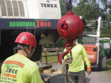 Crane-ball-tree-service---Copy