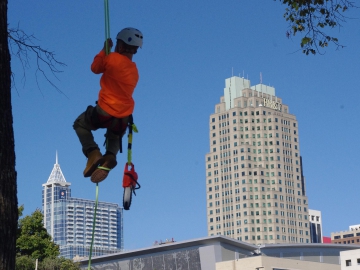 Raleigh-tree-service-21