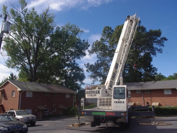 #crane-tree-removal3