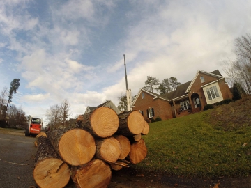 raleigh-tree-service-62---Copy