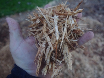 #stump-grinder7
