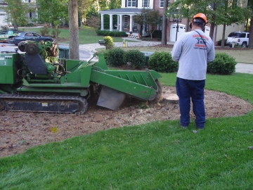 #stump-grinding