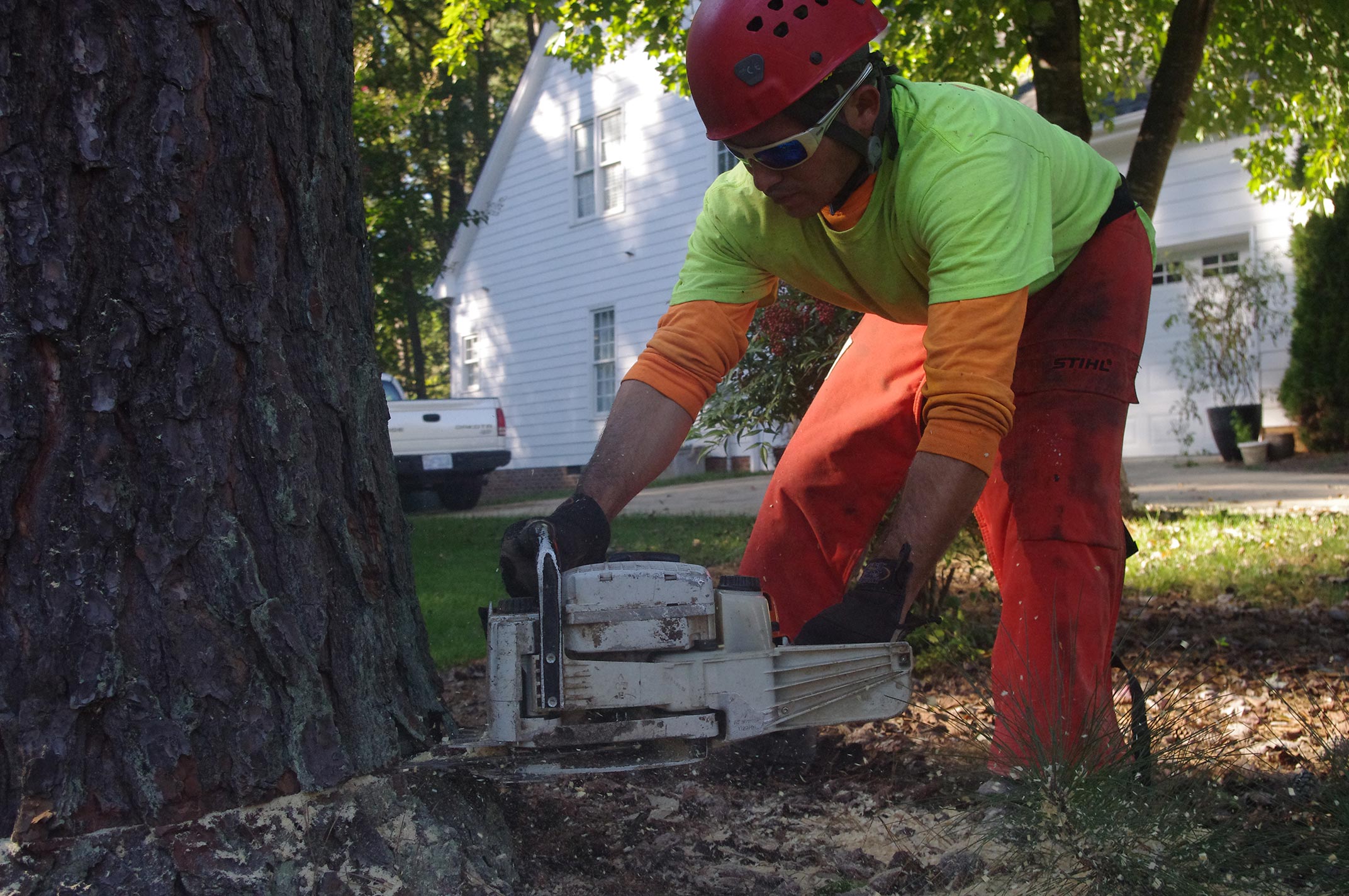 tree-removal-raleigh-104