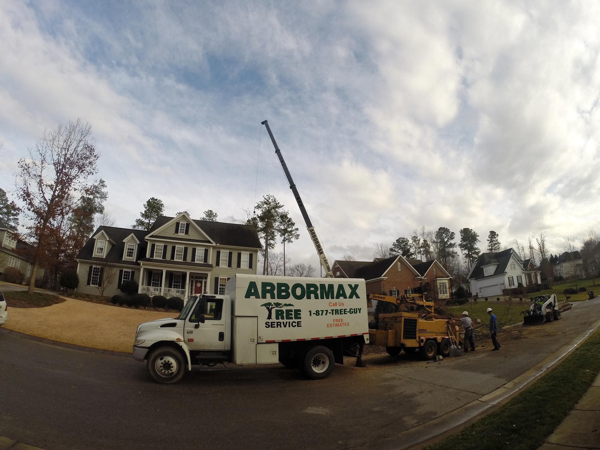 tree-service-raleigh-74