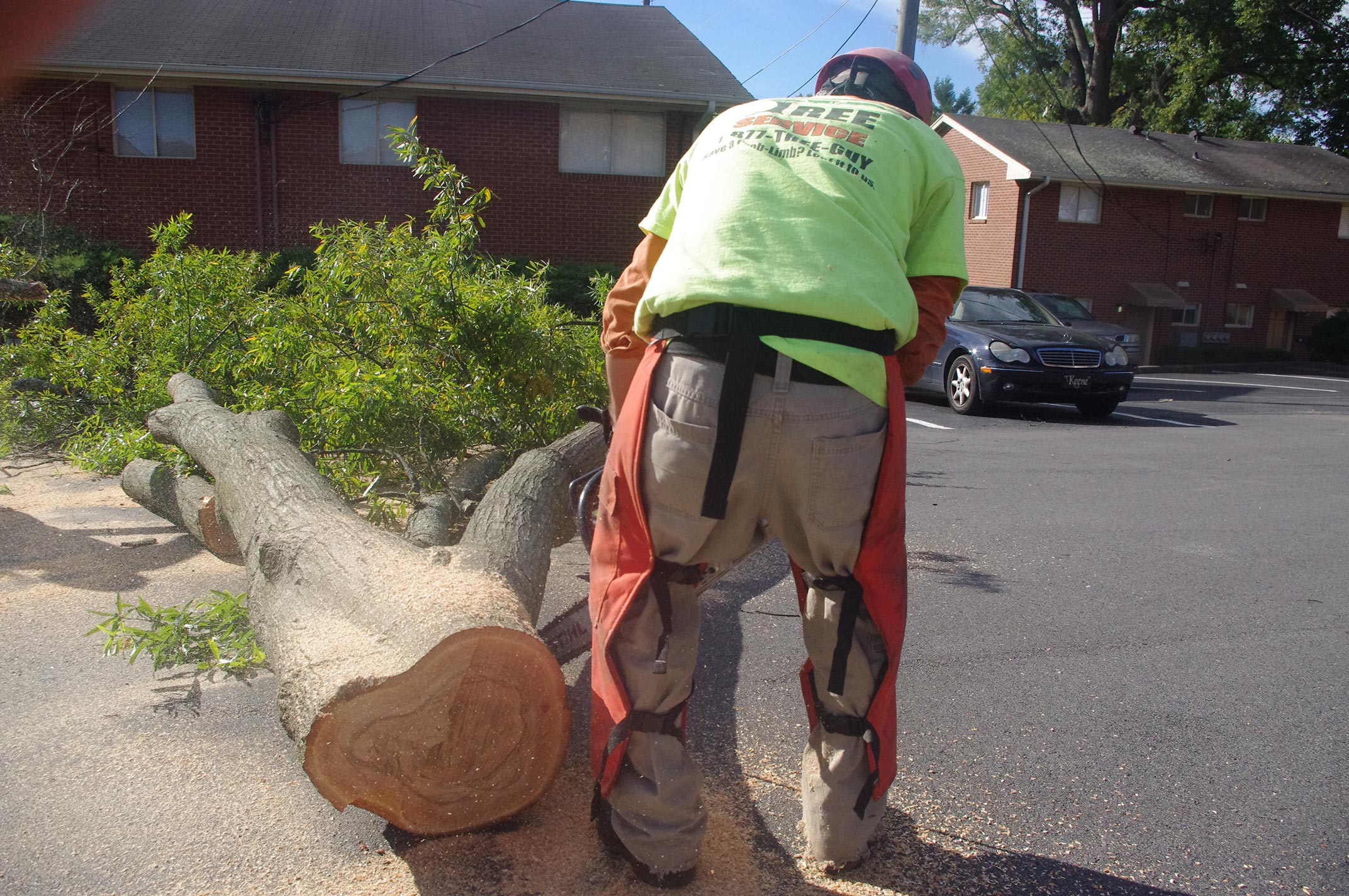 #tree-service-raleigh-ground-crew2