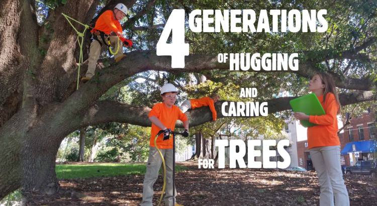 Garner Tree Care