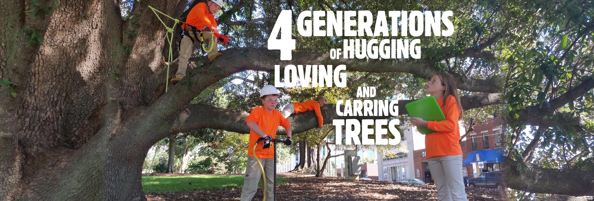 Raleigh-Tree-Care