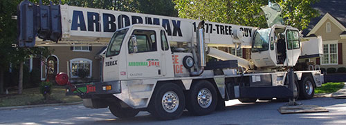 Arbormax Crane