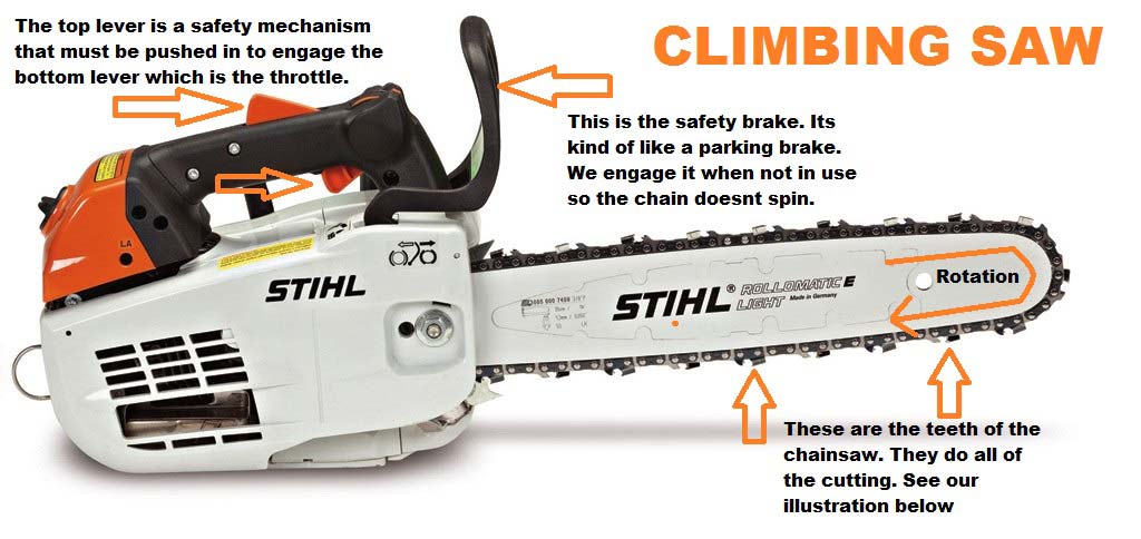 chainsaw raleigh tree service