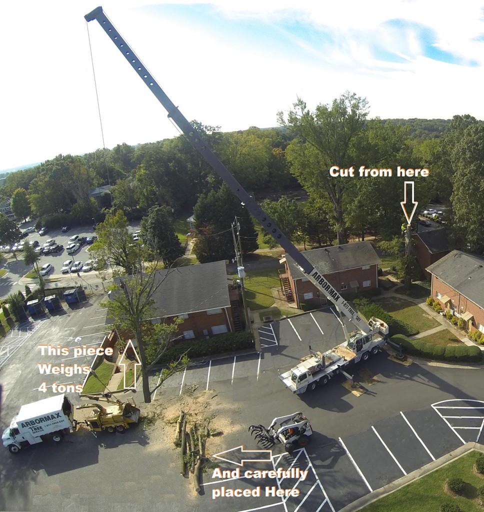 Crane Assisted Tree Removal - Arbormax Tree Service