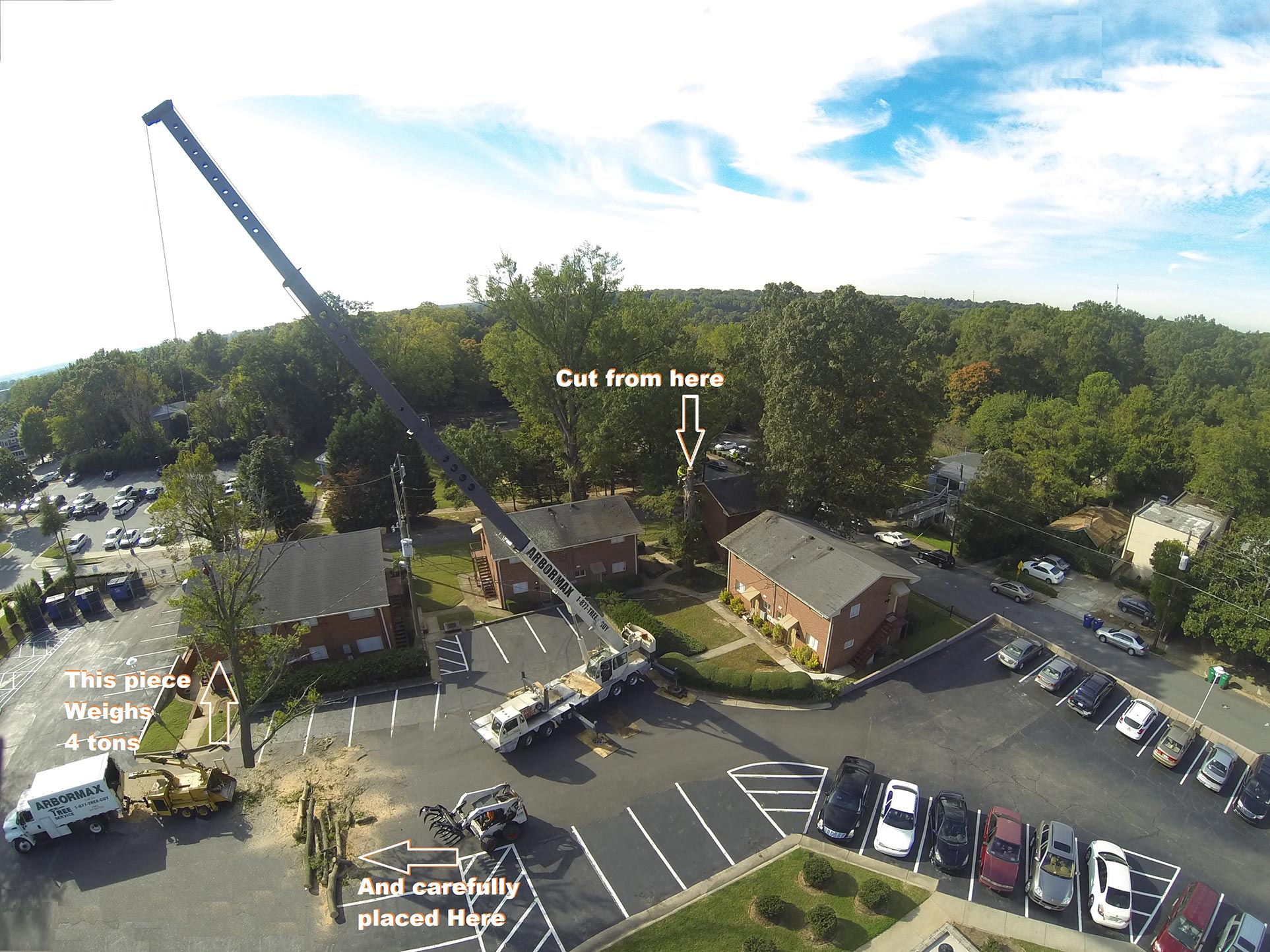 Crane Assisted Tree Removal Raleigh