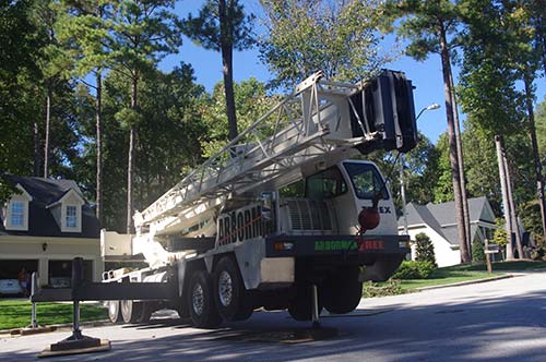 crane-set-up-for-tree-removal