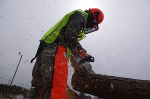 tree service from raleigh treains the national guard on chainsaw safety