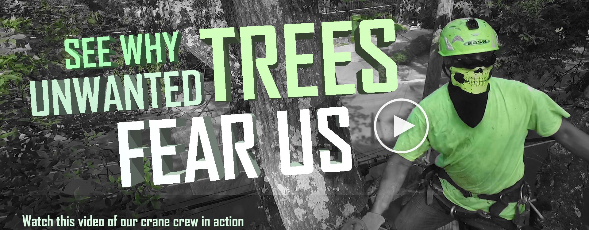 SEE-WHY-unwanted-trees-fear-us