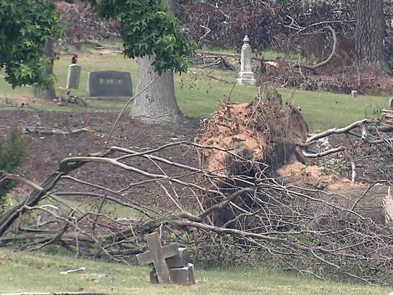 historic cemetery tree removal