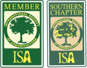 ISA-Member