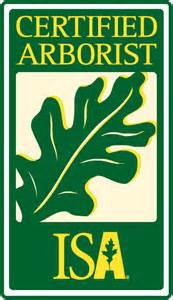 arborist logo