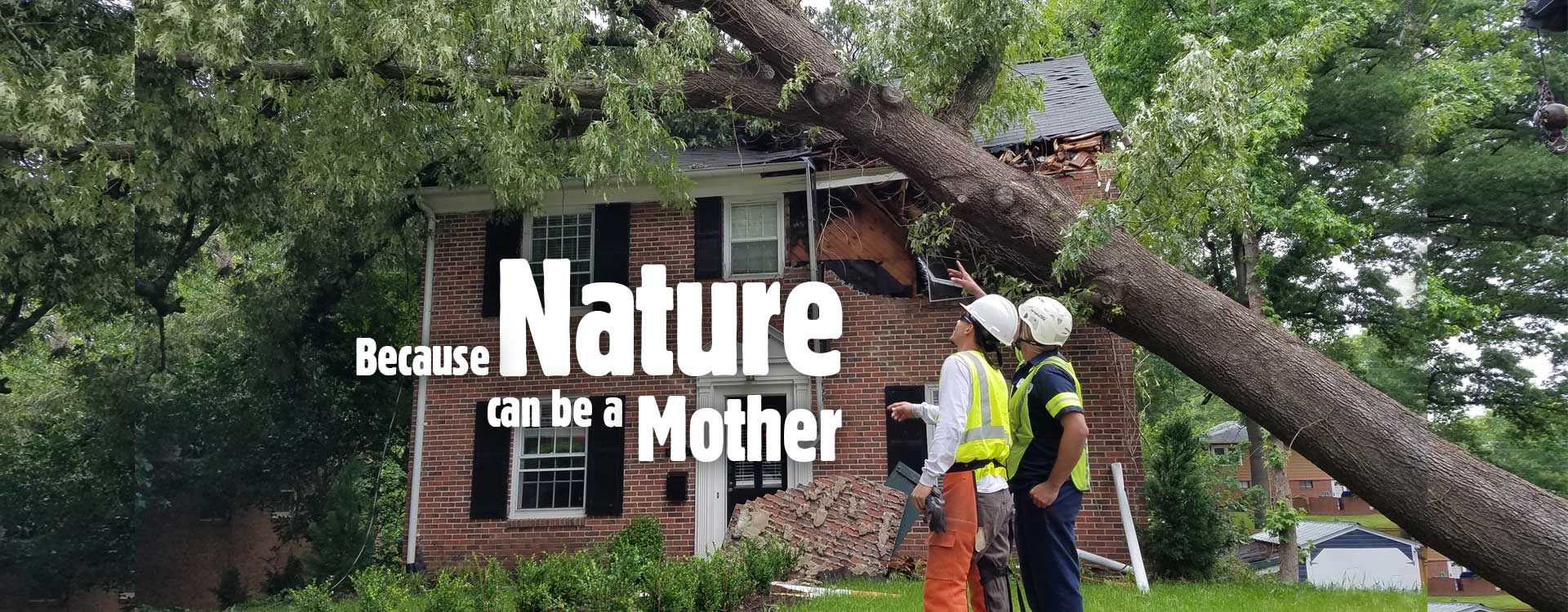 Raleigh Emergency Tree Removal